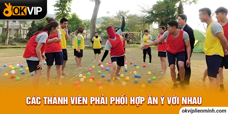 Các thành viên phải phối hợp ăn ý với nhau
